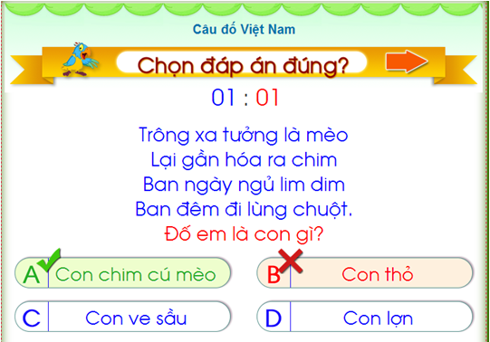 câu đố Việt Nam