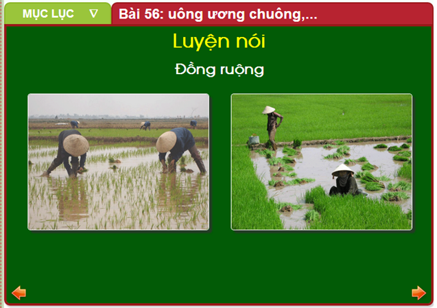 phần mềm học tiếng Việt 1